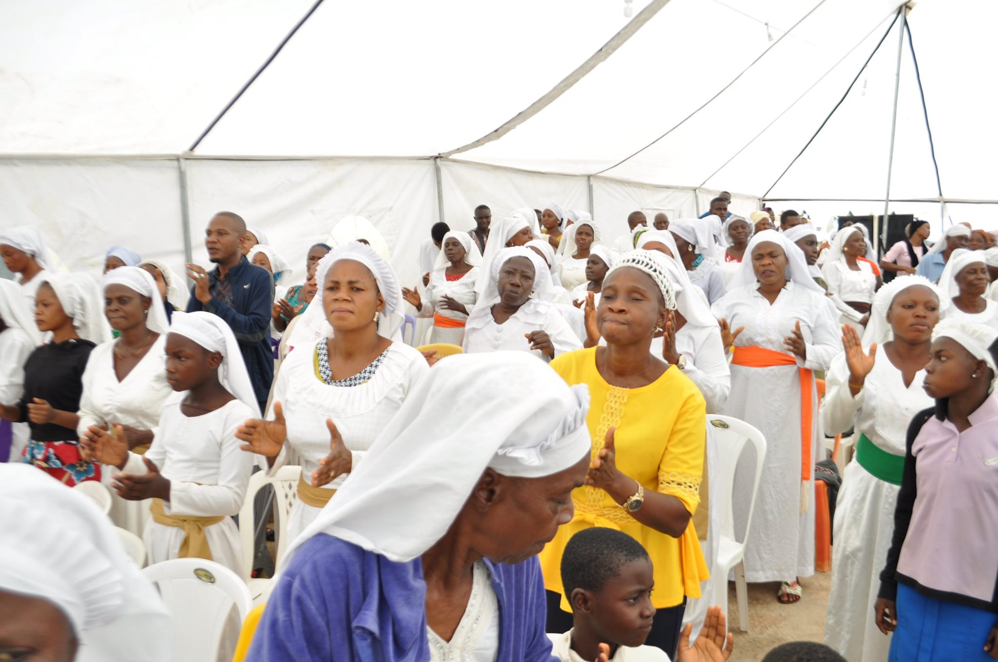 69156206_441452166456145_6632828534786097152_o