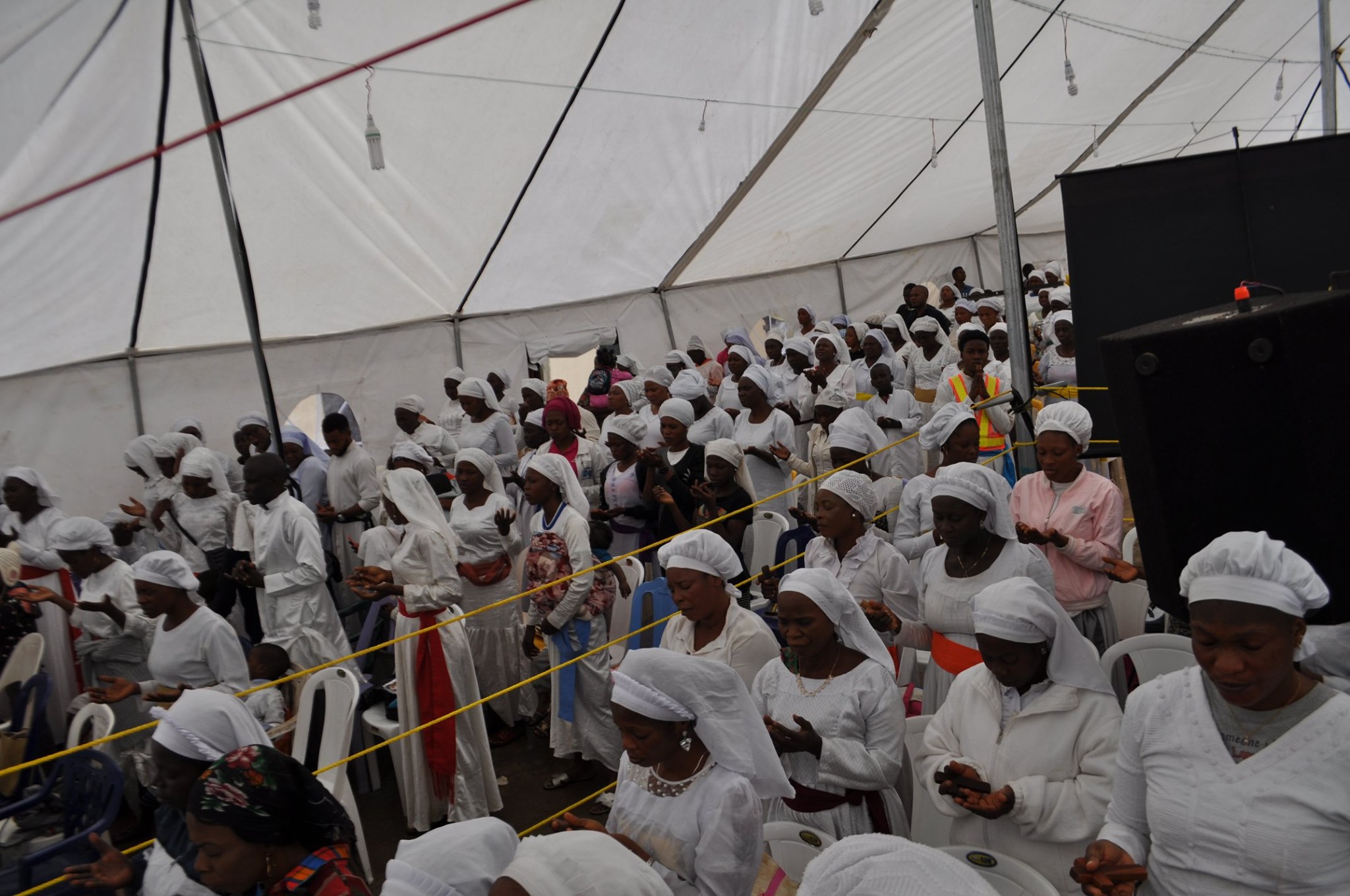 69221439_441167373151291_2709622763135434752_o